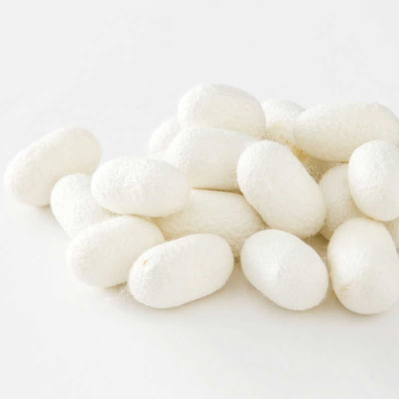 100% Silk Women Underwear-White|Breathable&Ethical Silk Collection